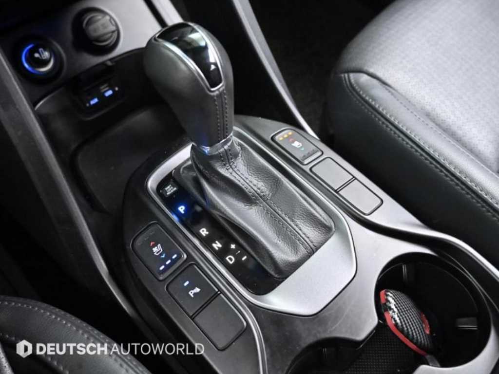 HYUNDAI Maxcruz - Vista 9