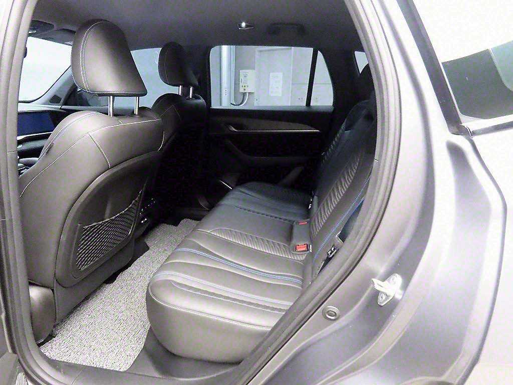 SAMSUNG Grand Koleos - Vista 6