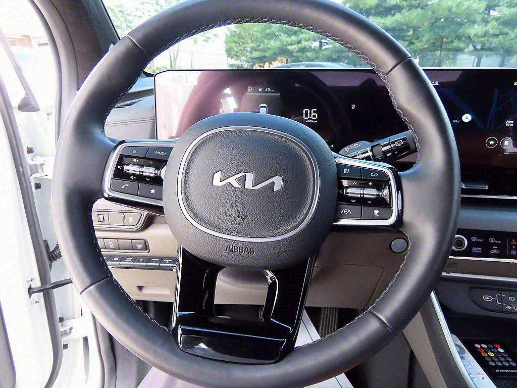 KIA Carnival - Vista 10