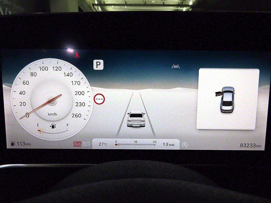 Genesis G90 - Vista 9