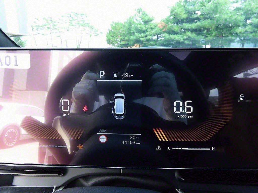 KIA Carnival - Vista 11