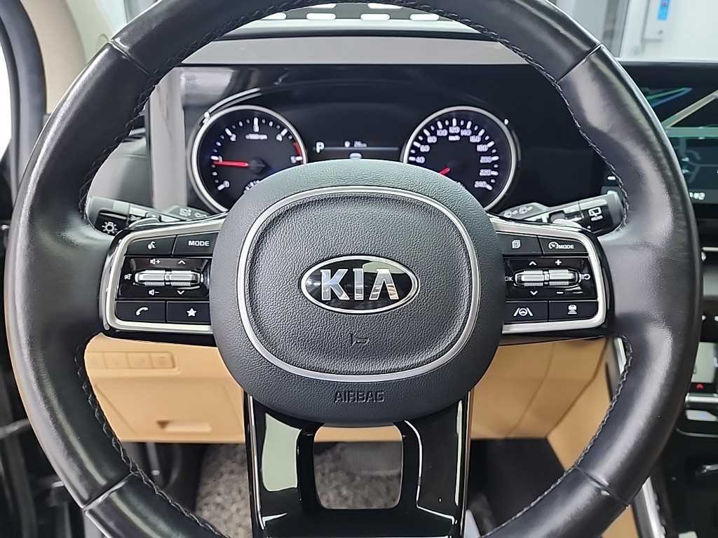 KIA Carnival - Vista 9