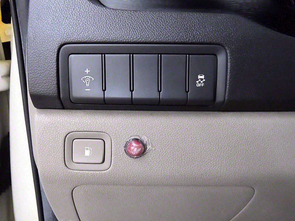 KIA Carnival - Vista 12