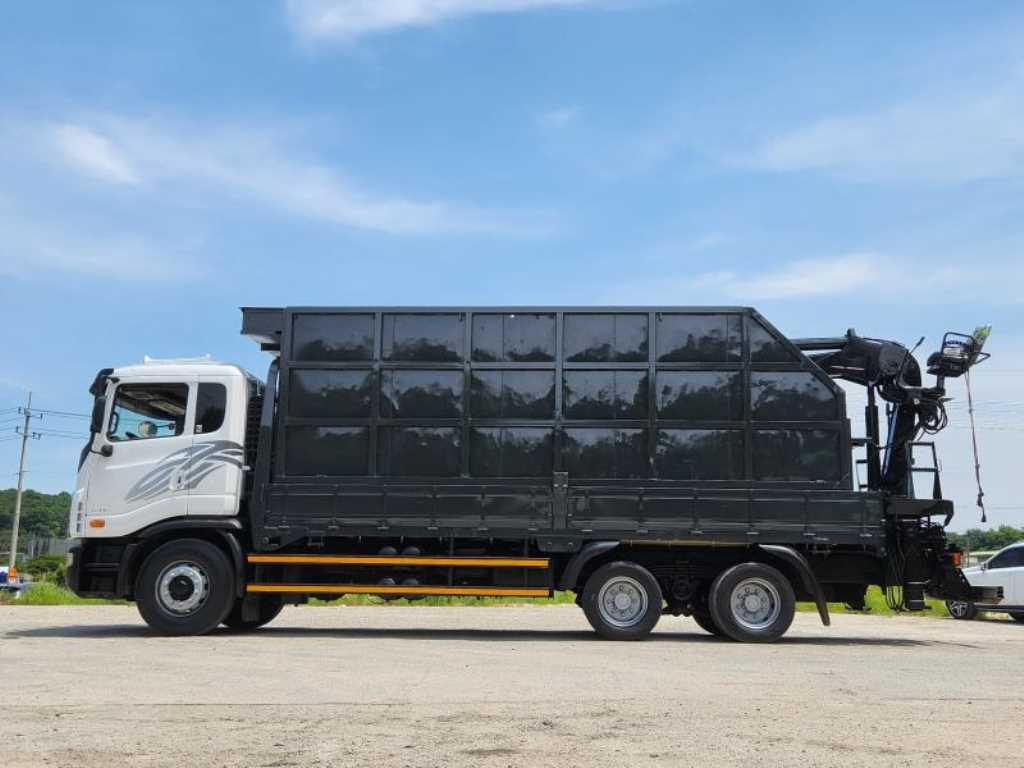 medium and large cargo goso - Vista 5