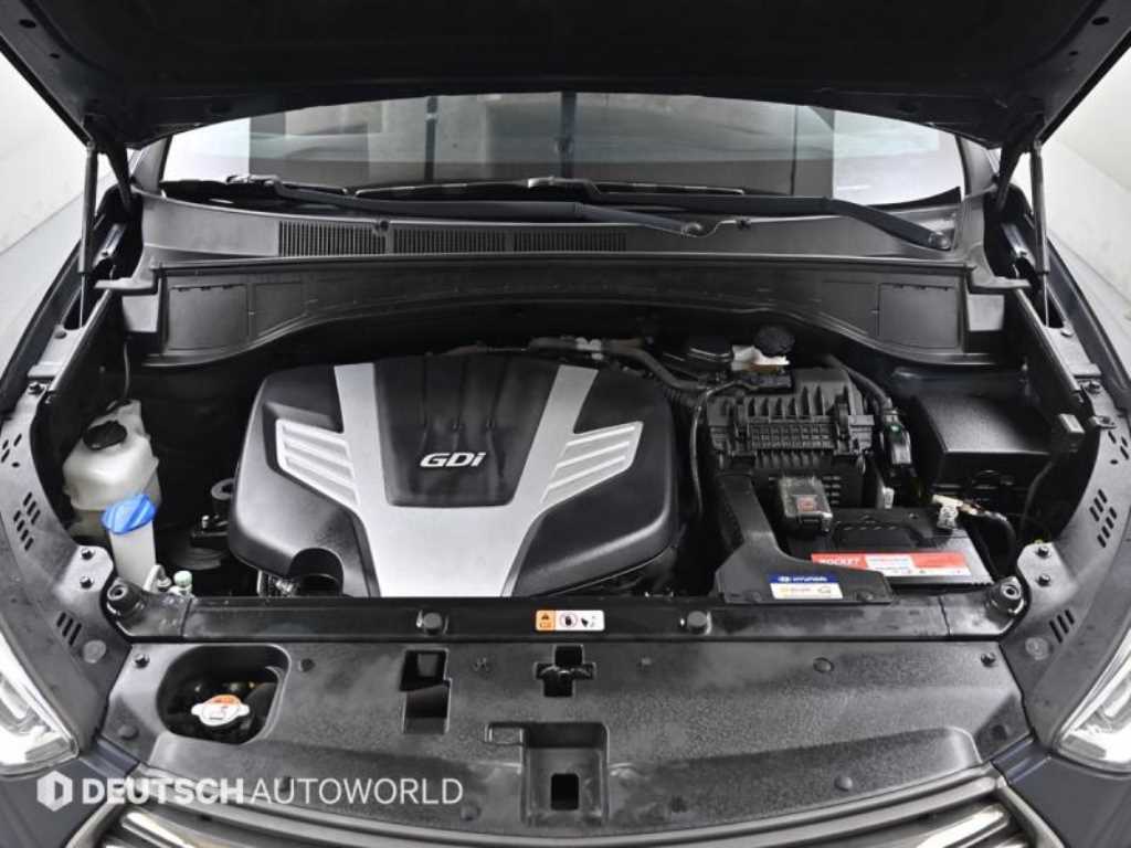 HYUNDAI Maxcruz - Vista 6