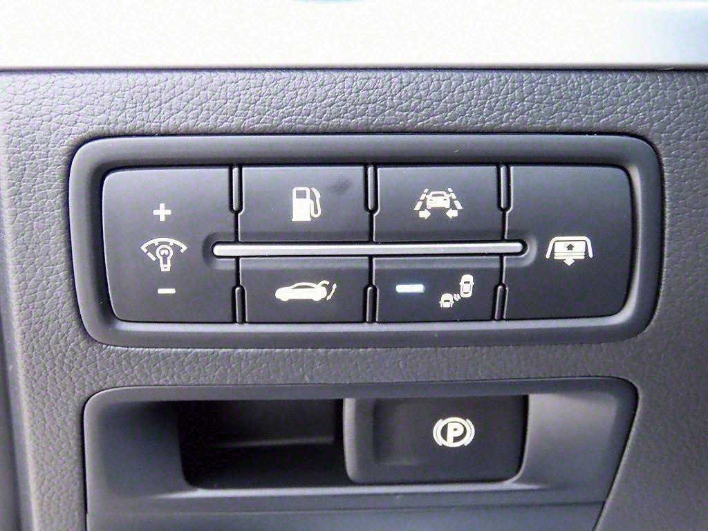 Genesis G80 2017 Gris - Importación desde Corea - HF Imports Iquique - Foto 13