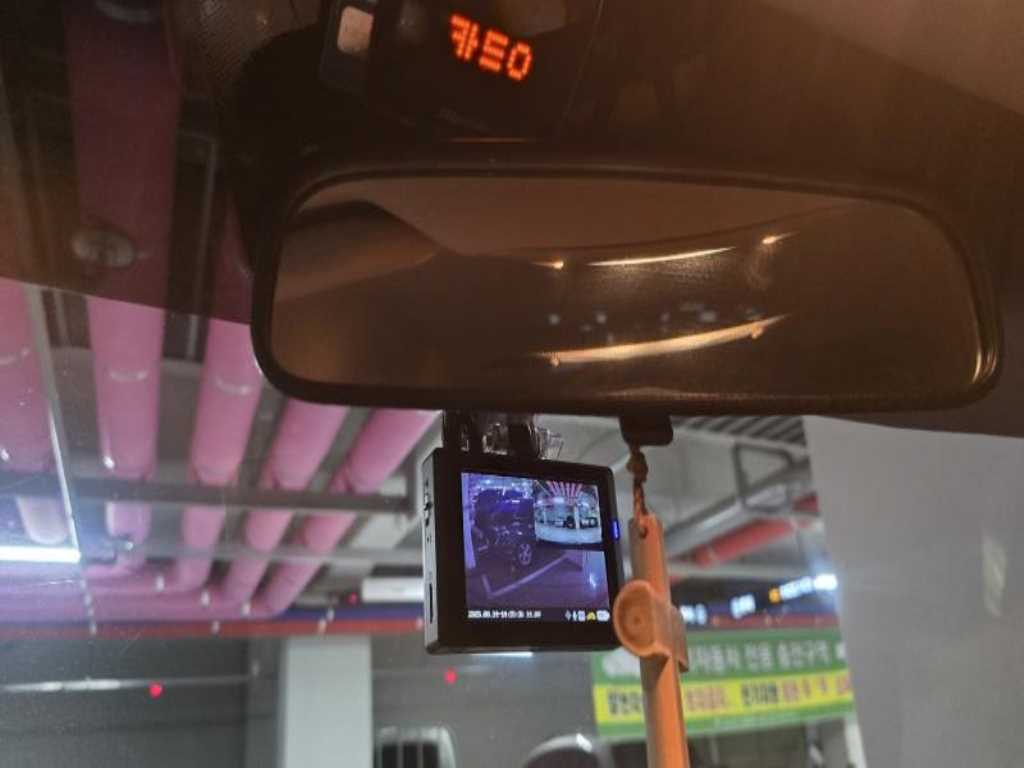 KIA Carnival - Vista 8