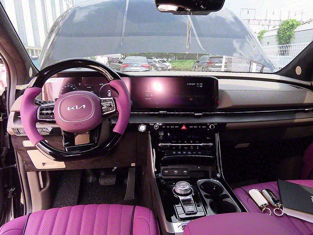 KIA Carnival - Vista 8