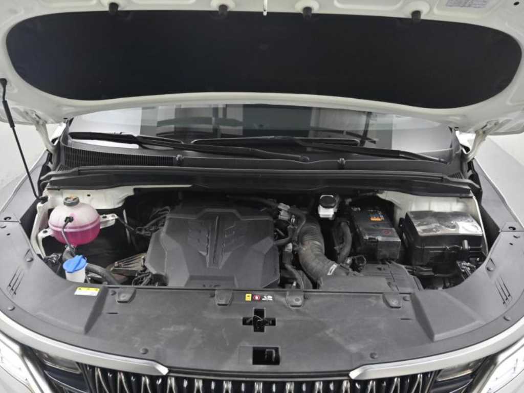 KIA Carnival - Vista 6