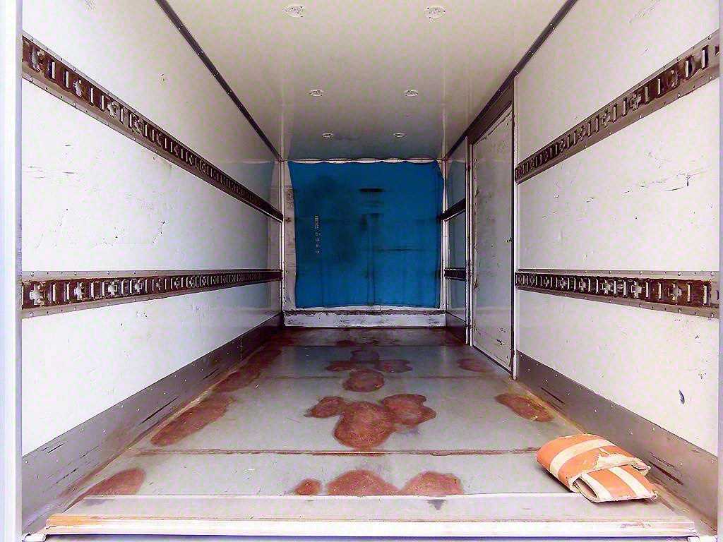 medium and large cargo truck - Vista 7