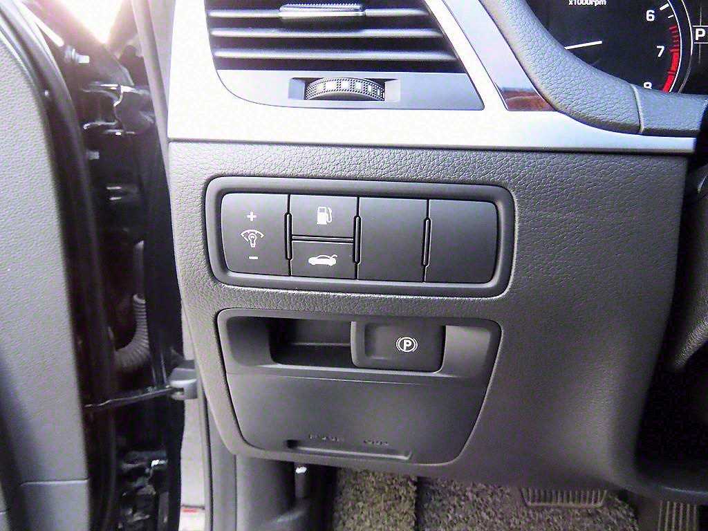 HYUNDAI Genesis - Vista 12