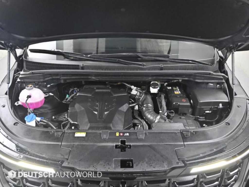 KIA Carnival - Vista 6