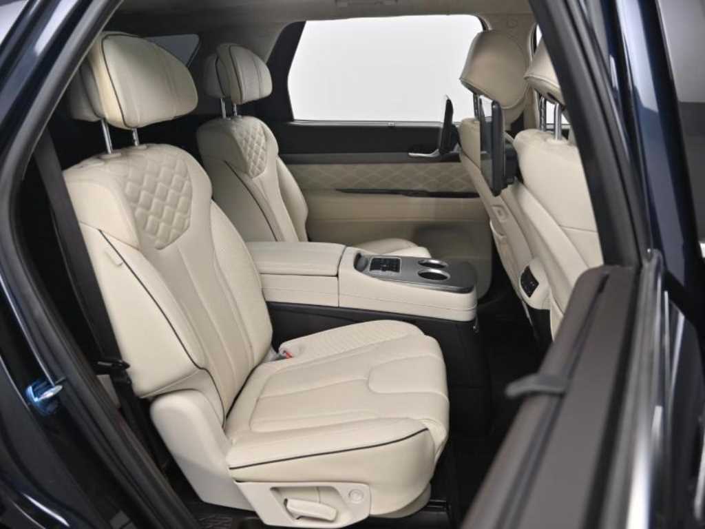 HYUNDAI Palisade - Vista 10