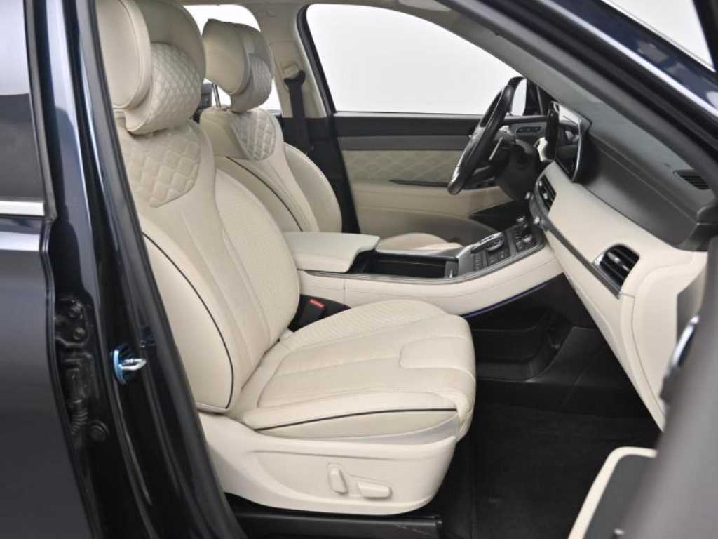 HYUNDAI Palisade - Vista 8