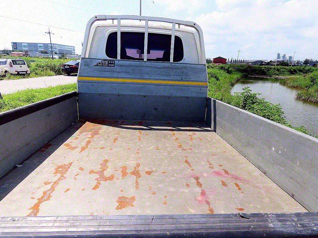 Small Truck Cargo (small) - Vista 4