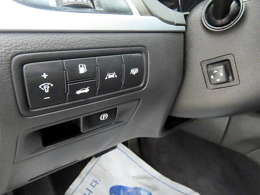 HYUNDAI Genesis - Vista 12