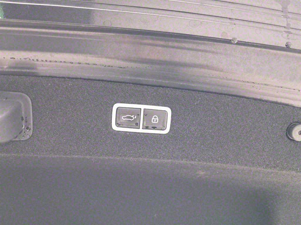 Genesis G90 - Vista 12