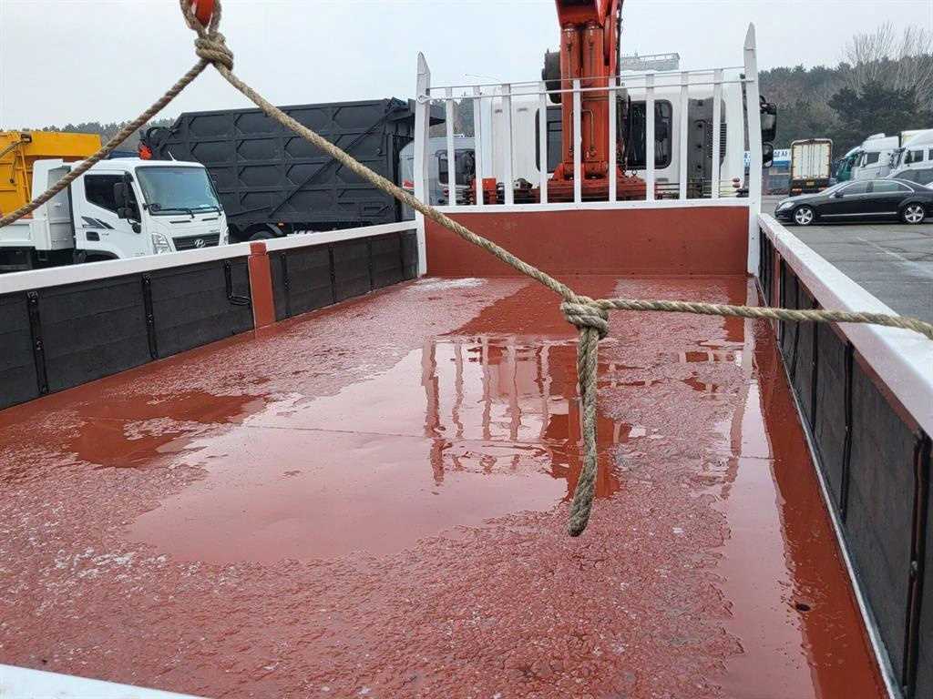 medium and large cargo goso - Vista 12