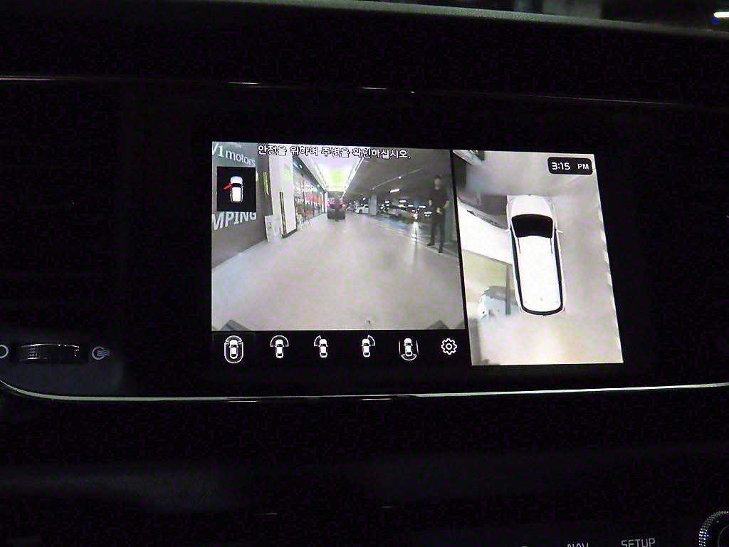 KIA Carnival - Vista 12