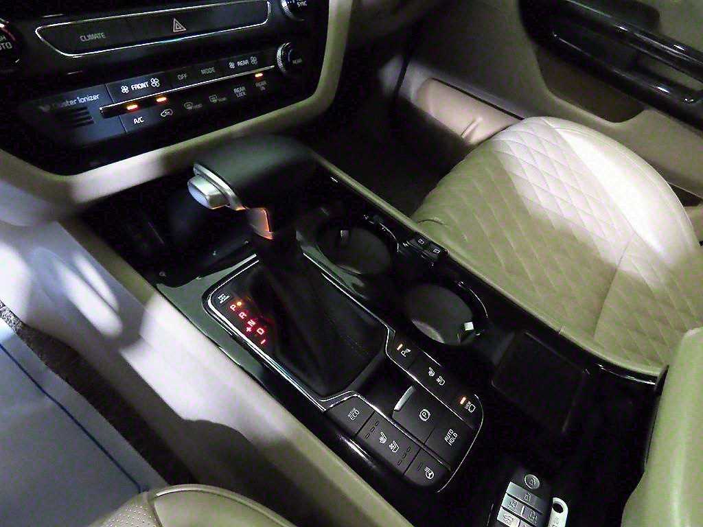 KIA Carnival - Vista 9