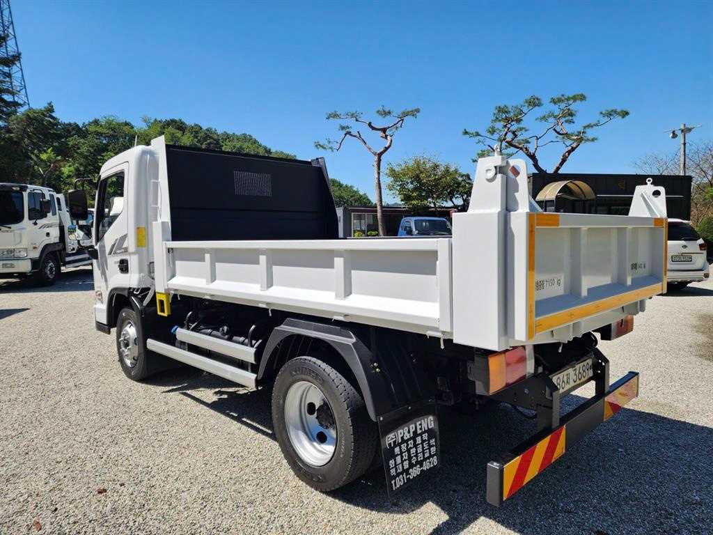 medium and large cargo dump - Vista 5