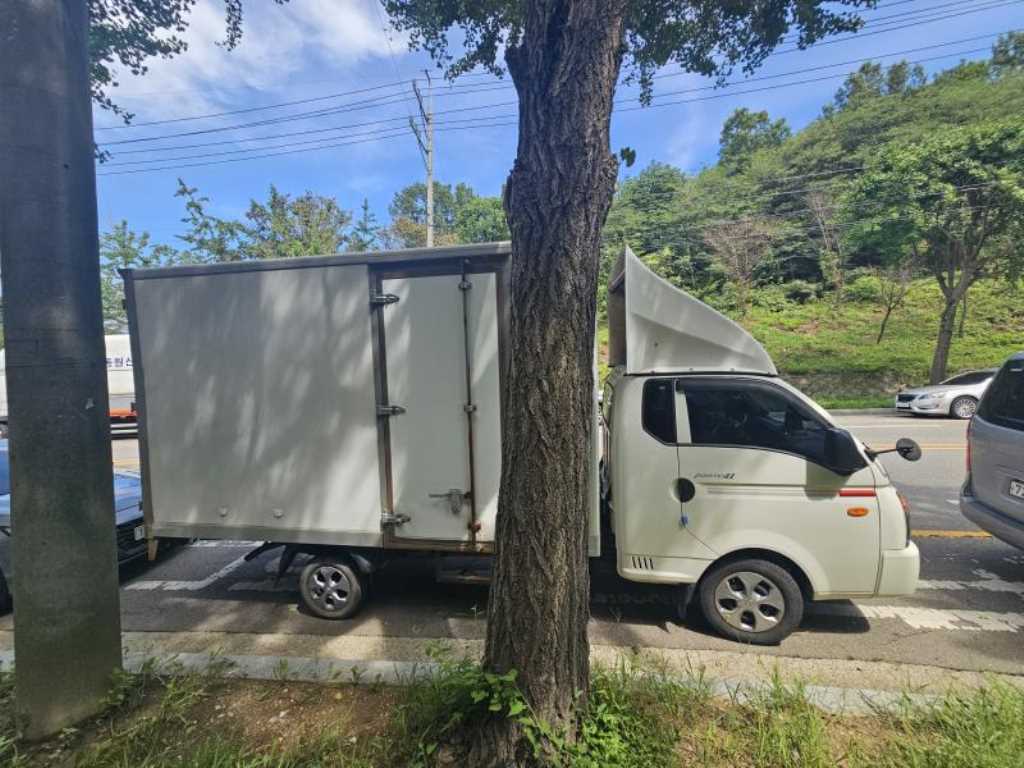 Small Truck Cargo (small) - Vista 5
