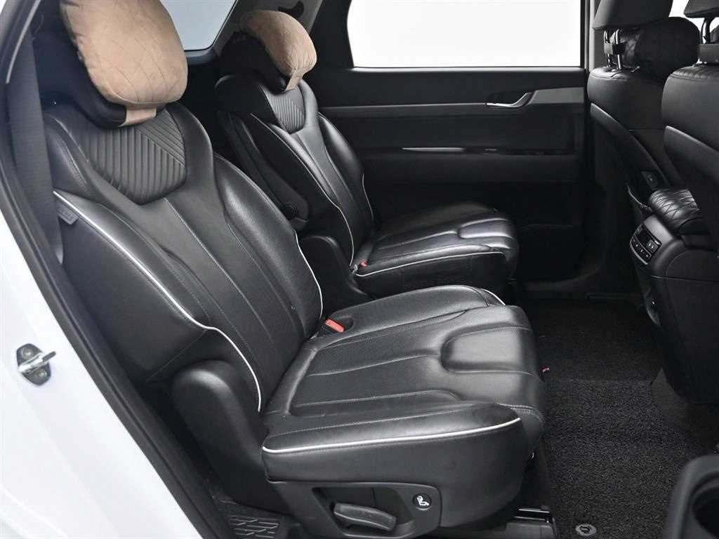 HYUNDAI Palisade - Vista 12
