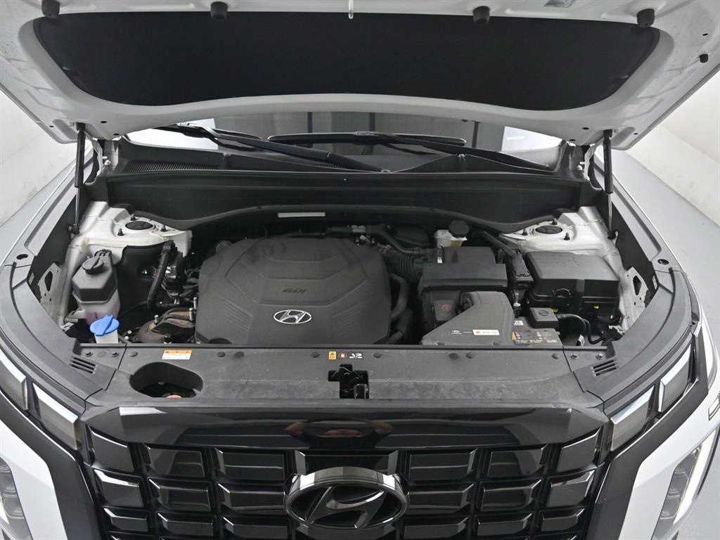 HYUNDAI Palisade - Vista 6