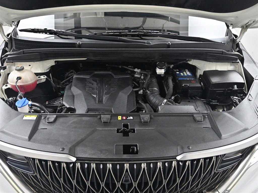 KIA Carnival - Vista 6