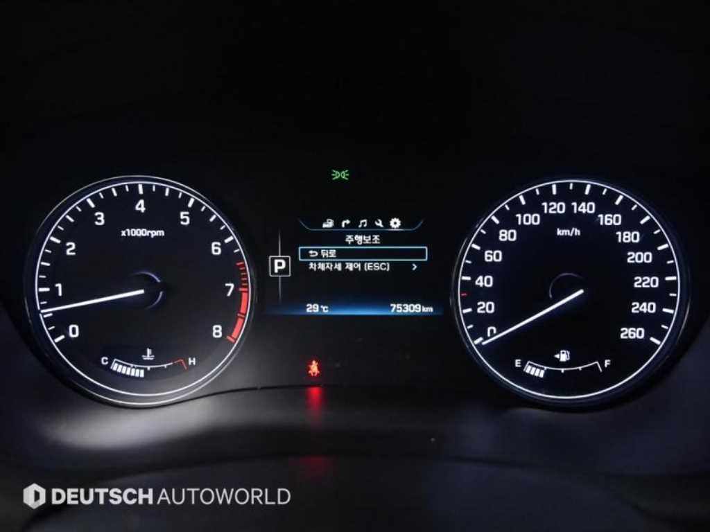 HYUNDAI Genesis - Vista 8