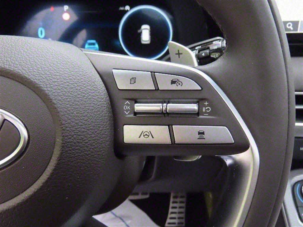 HYUNDAI Palisade - Vista 10