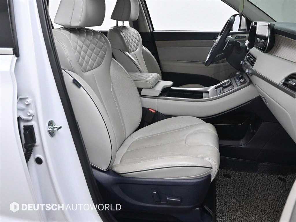 HYUNDAI Palisade - Vista 10