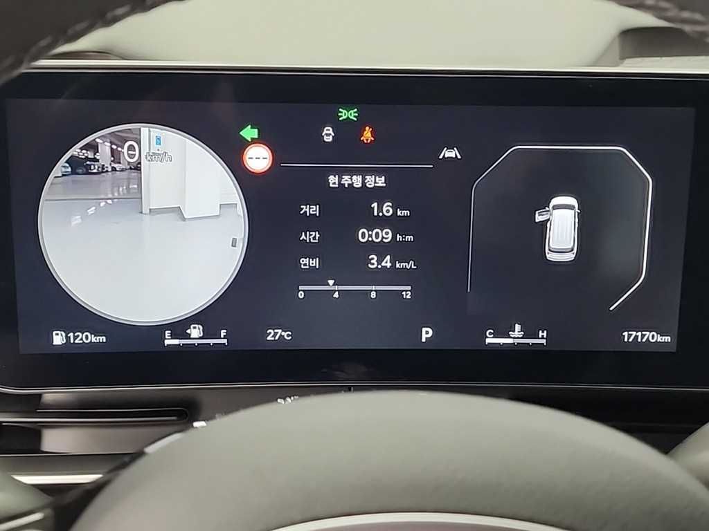 KIA Carnival - Vista 6