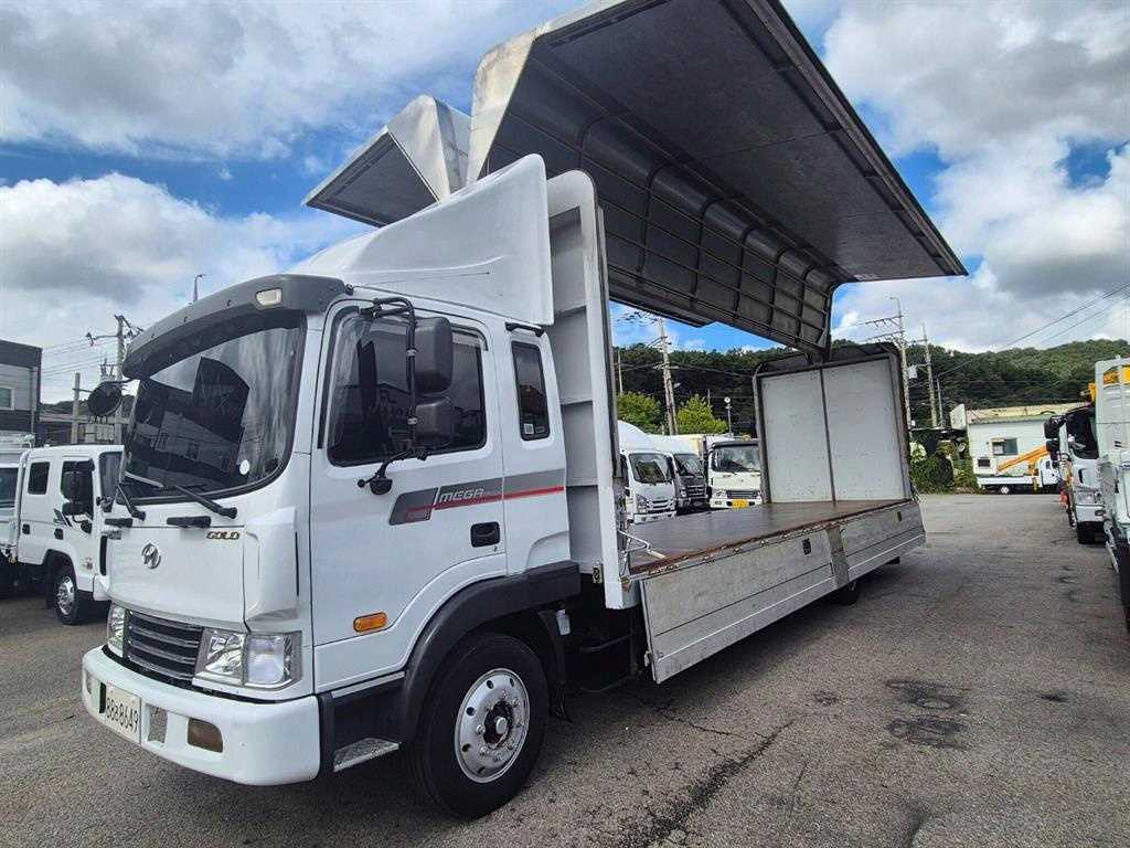 medium and large cargo truck - Vista 10