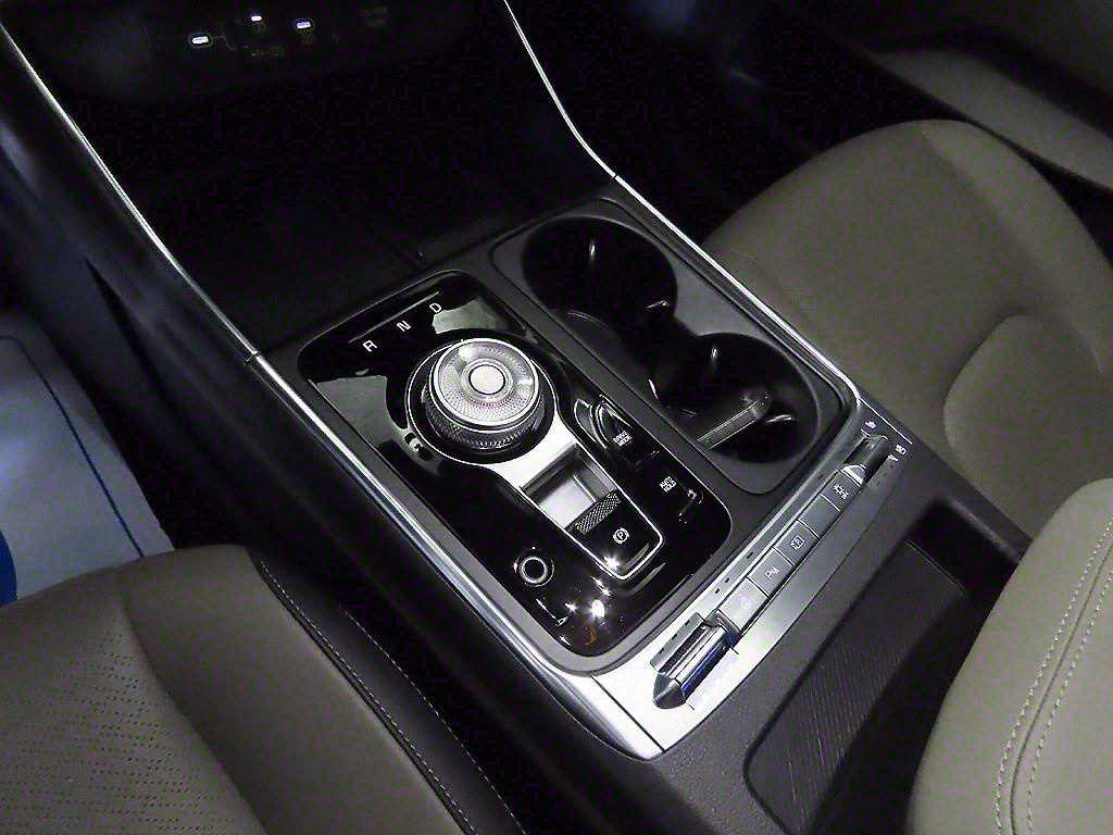 KIA Carnival - Vista 12