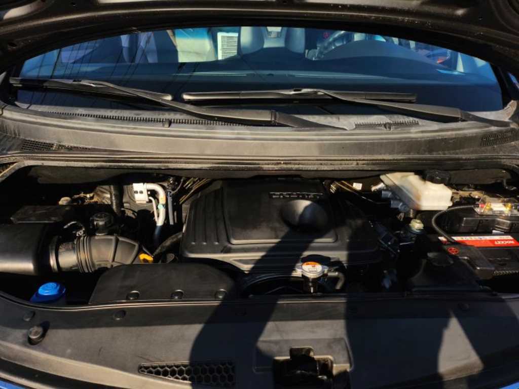 HYUNDAI Starex - Vista 12