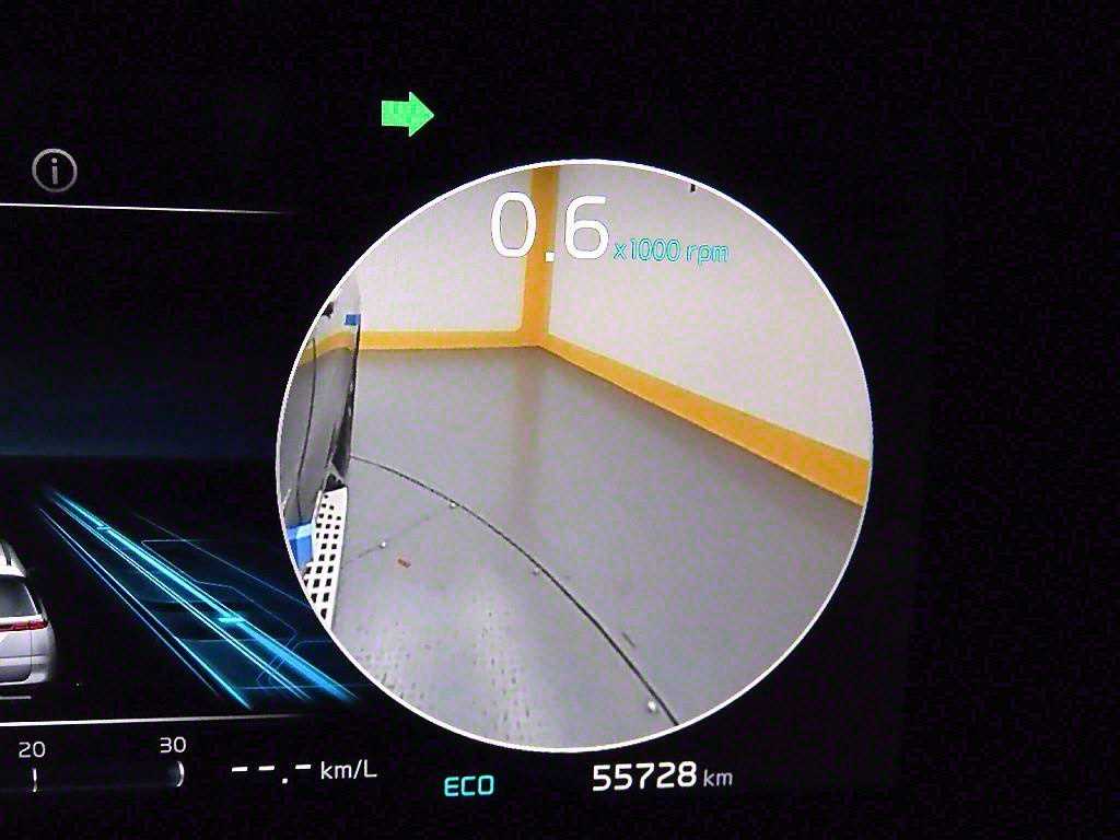 KIA Carnival - Vista 8