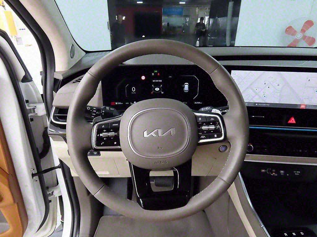 KIA Carnival - Vista 9