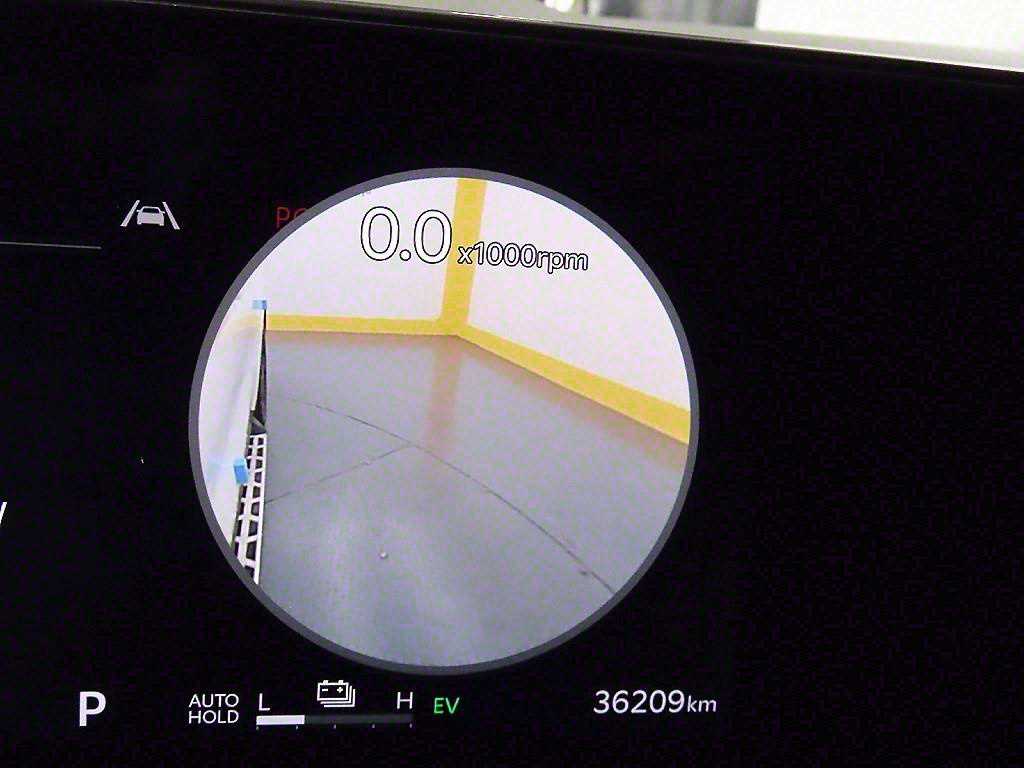 KIA Carnival - Vista 8