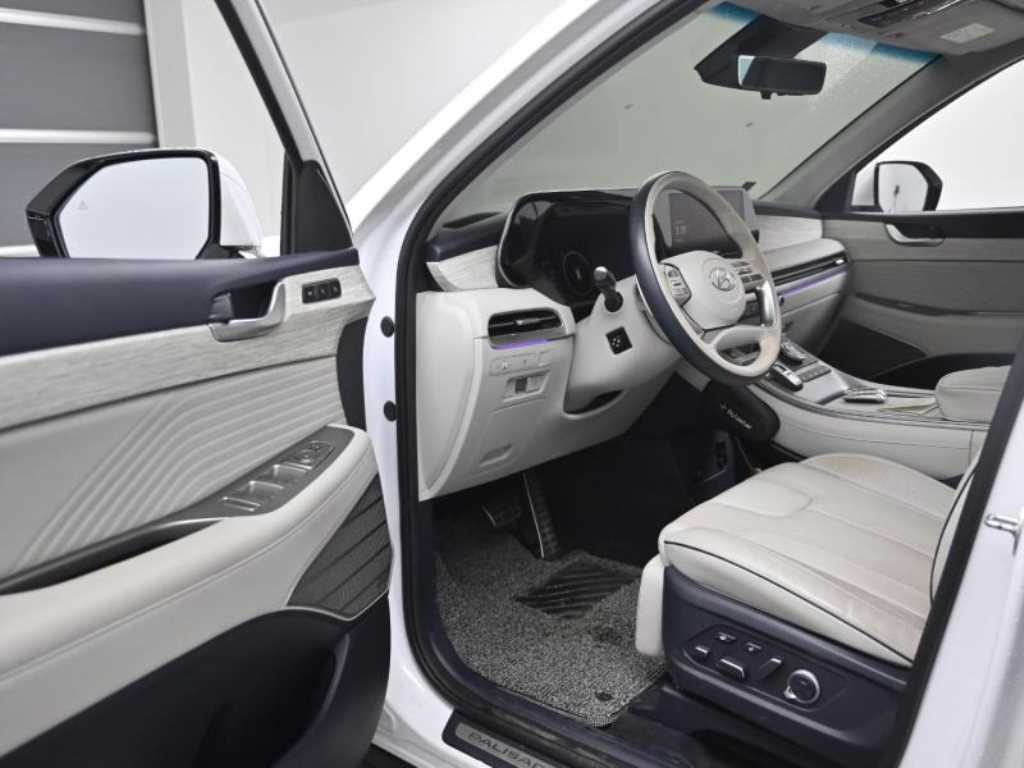 HYUNDAI Palisade - Vista 11