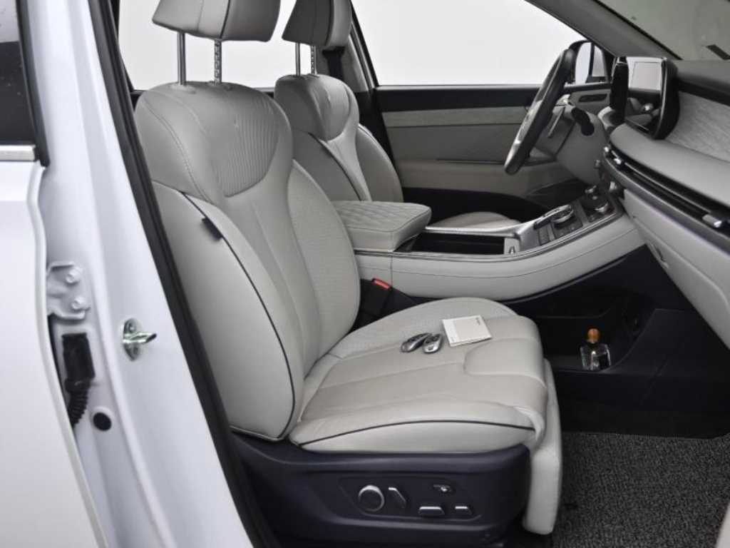 HYUNDAI Palisade - Vista 10