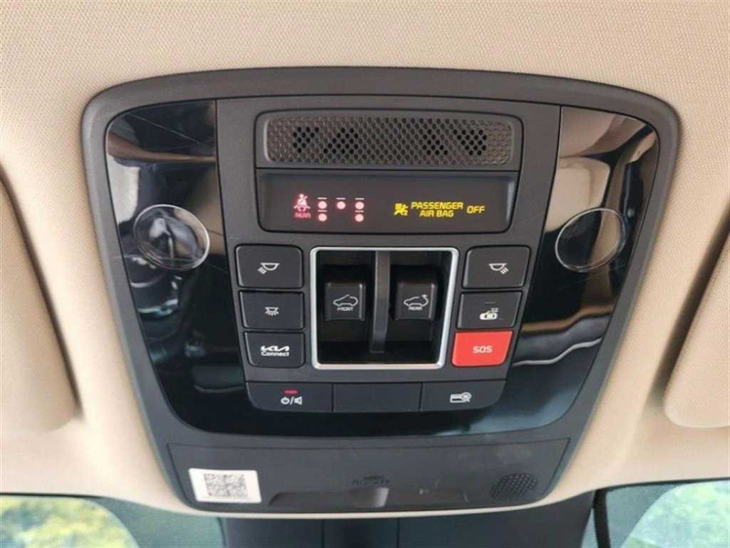 KIA Carnival - Vista 8