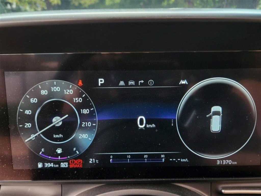 KIA Carnival - Vista 4