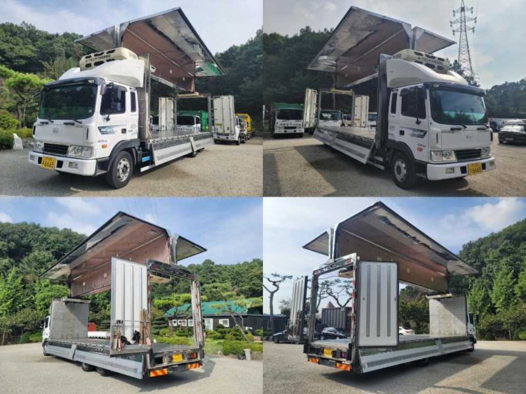 medium and large cargo truck - Vista 12