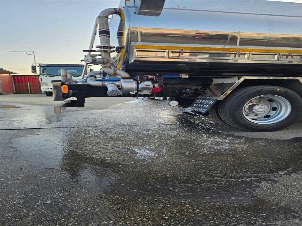 medium and large cargo Rory - Vista 2