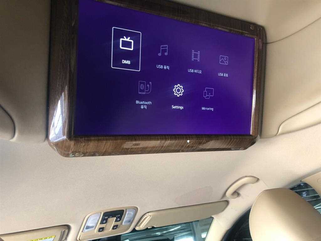 KIA Carnival - Vista 11