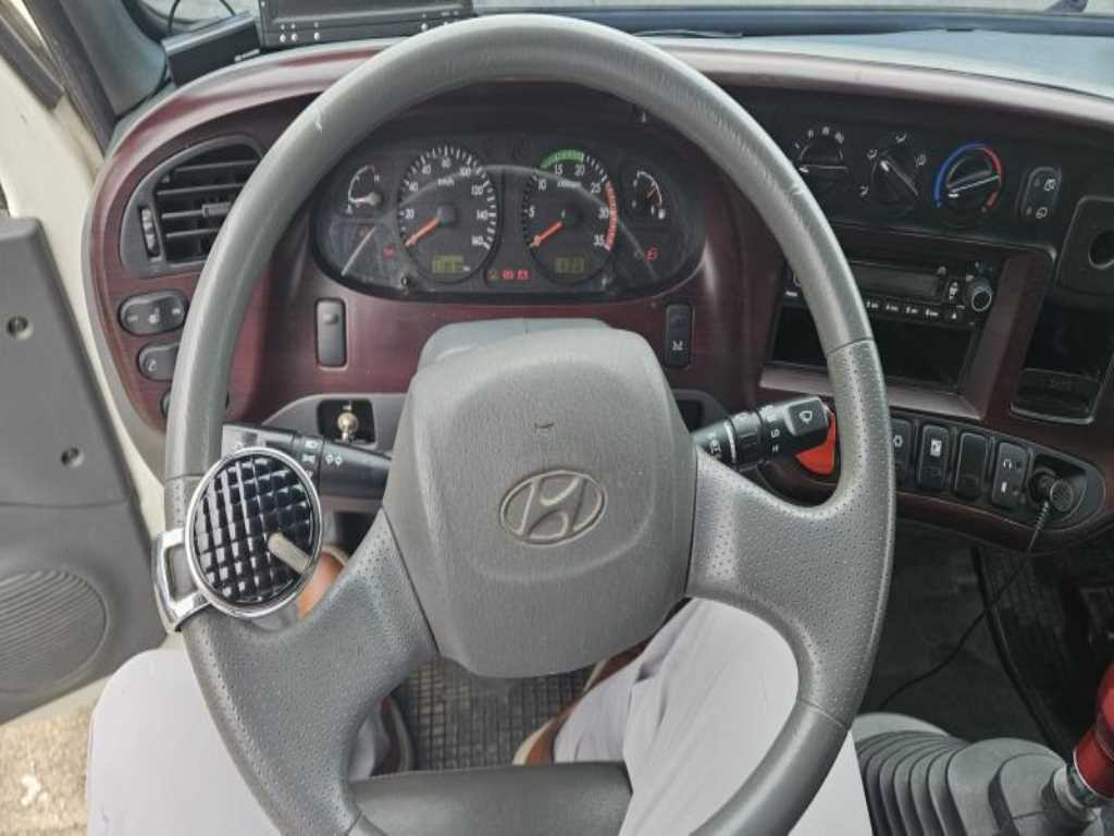 medium and large cargo truck - Vista 11