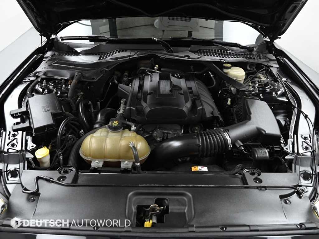 Ford Mustang - Vista 6