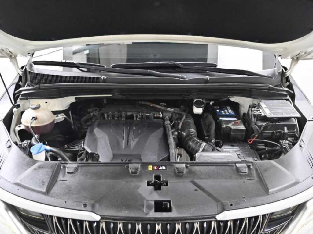 KIA Carnival - Vista 6