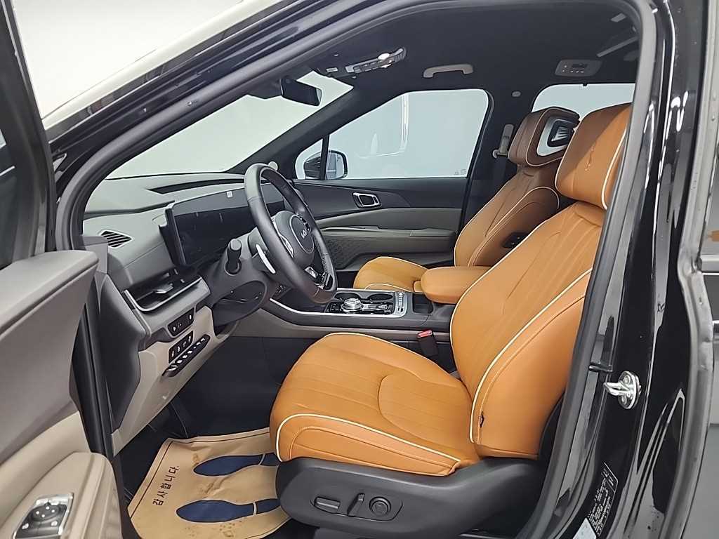 KIA Carnival - Vista 11